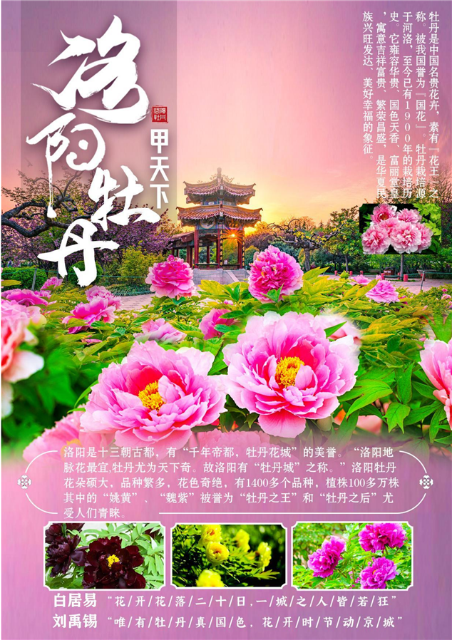 1770285917568986.png new_河南全境双高10天.双卧11天_02.png